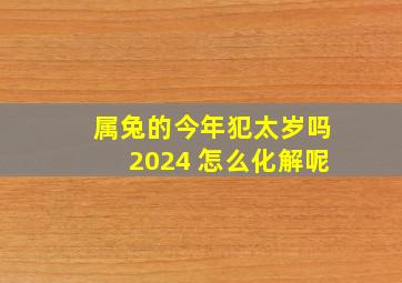 属兔的今年犯太岁吗2024 怎么化解呢